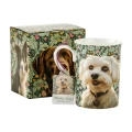 porcelanowy-kubek-morris-dogs-maltanczyk-350ml-porcelana-kostna-115-9927-pudelko.png